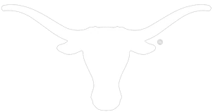 University of Texas Longhorn