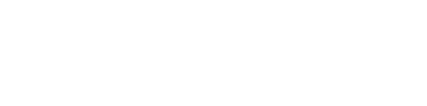 Formula 1