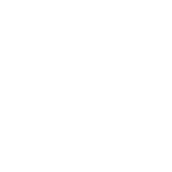 AIG
