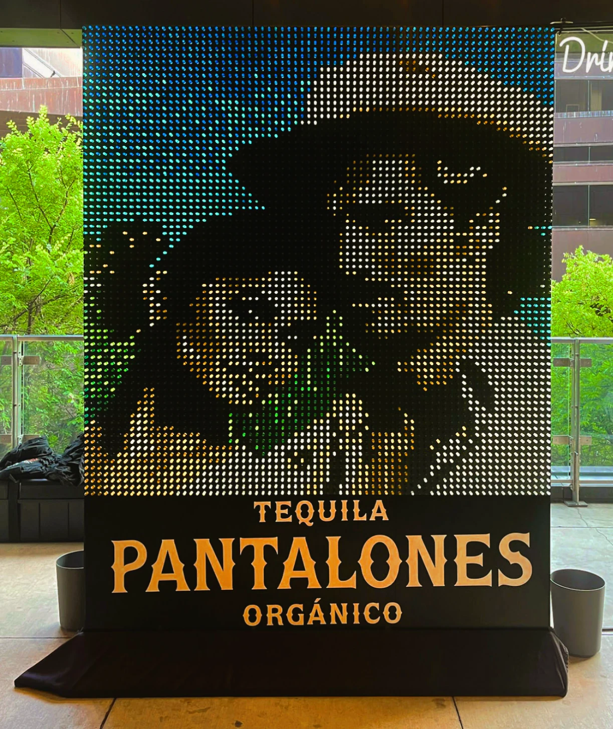 Custom Tequila Pantalones portrait art wall